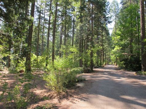 Detroit Lake State Park And Campground Oregon