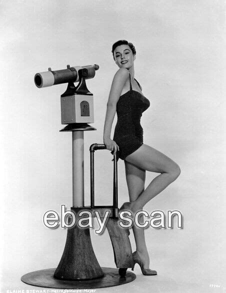 Elaine Stewart Mid Century Actress Model Leggy Cheesecake 8x10 Photo 27