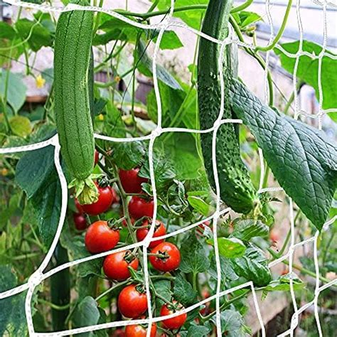 Trellis Netting Canagrow Heavy Duty Garden Plant Trellis Netting For Climbing