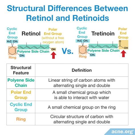 What S The Difference Between Retinol And Retinoids Acne Org