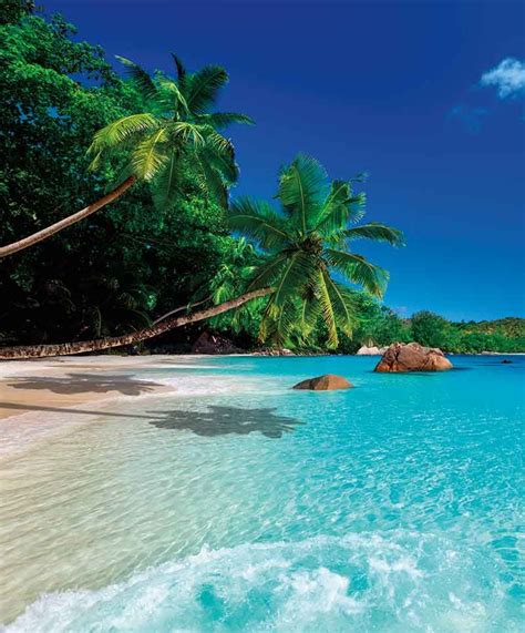 Praslin Island Beautiful Beaches Paradise Beach Scenery Beautiful