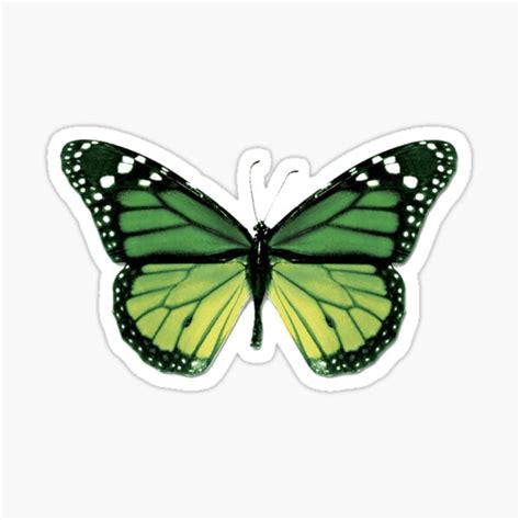 Green Butterfly Sticker For Sale By MAMMAJAMMA Redbubble