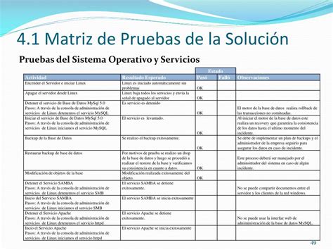 Formato Matriz De Pruebas