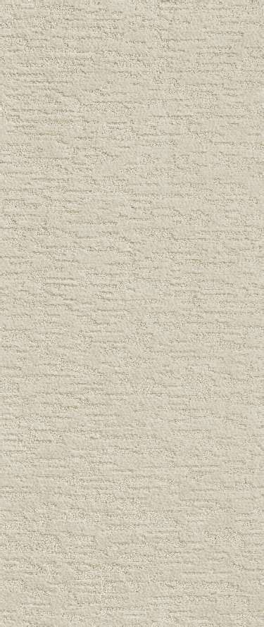 Warmth Comfort Timeless Style Of Carpet Stucco Texture Carpet Stucco