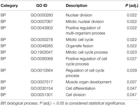 Frontiers Insulin Degrading Enzyme Regulates The Proliferation And