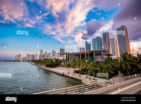 Miami skyline avec palmier Banque de photographies et dimages à haute