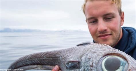 Fisherman Catches A Strange Alien Like Fish Off The Coast Of Norway