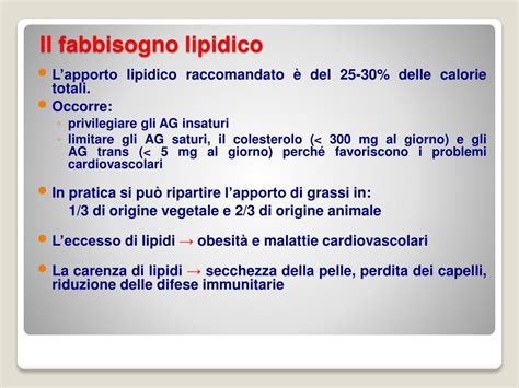 Ppt I Lipidi Powerpoint Presentation Free Download Id 4921175