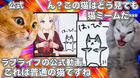 猫ミームとコラボし出すラブライブ公式【猫ミーム】 猫マニ 猫ミーム Youtube