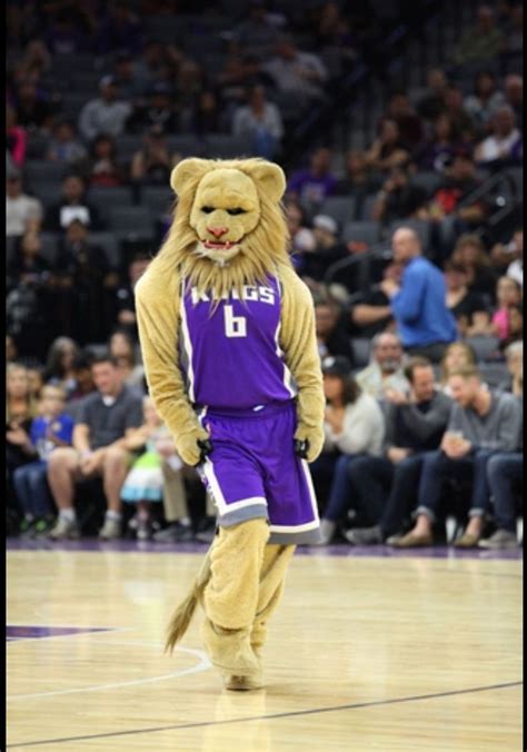 Sacramento Kings' mascot | Sacramento kings, Sac kings, Mascot