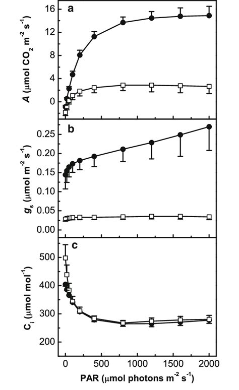 Light Response Curves Of Net Photosynthesis A Stomatal Conductance