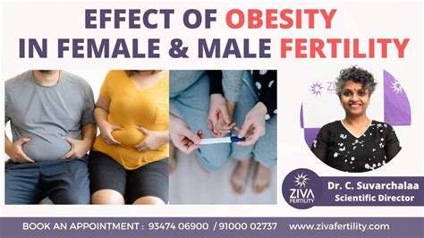 Obesity And Fertility Effects Of Female And Male Obesity On