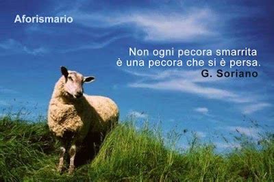 Aforismi Frasi E Proverbi Sulle Pecore Aforismario