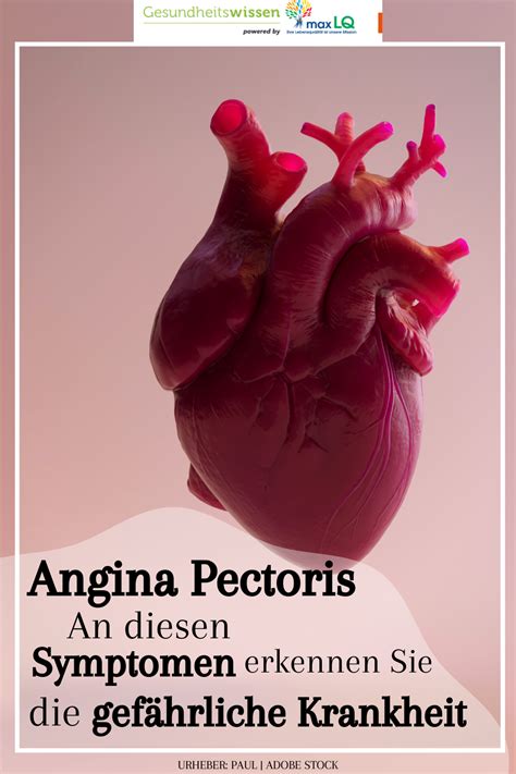 Angina Pectoris Brustenge Symptome Anzeichen Ursachen Folgen