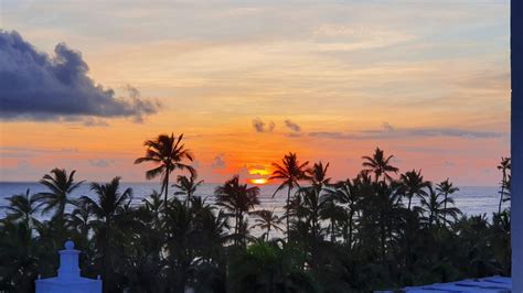 Ausblick Hotel Riu Palace Punta Cana Bavaro Holidaycheck