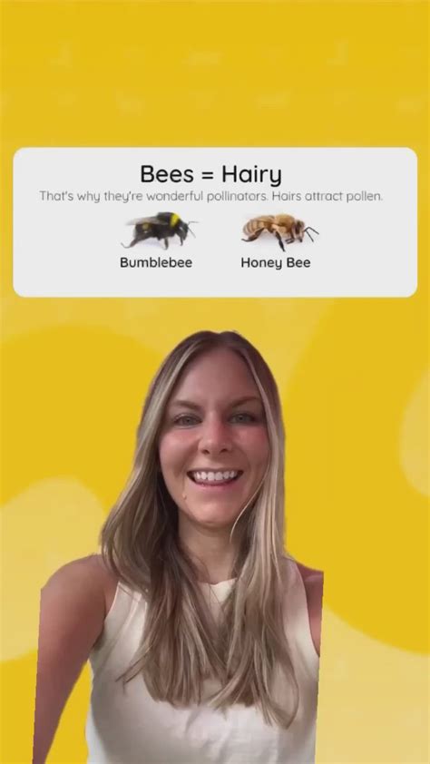 How To Identify Stinging Bugs And Keep Bees Safe 🐝 In 2022 Skin Insect Repellent Bee Safe