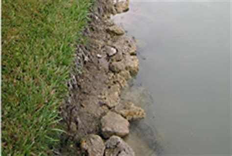 Shoreline Restoration of Ponds, Lakes, and Beaches