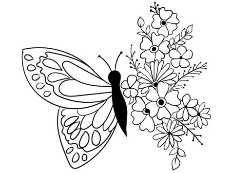 Contorno De Mariposa Y Flor Para Colorear Libro Vector Premium