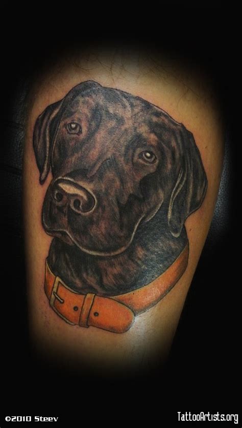 The 19 Coolest Labrador Tattoo Designs In The World