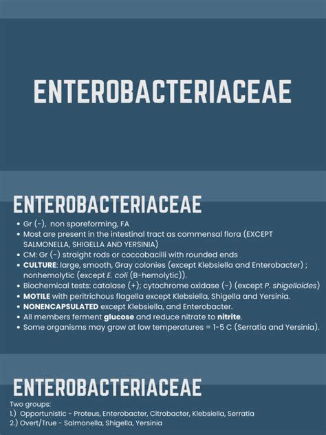 5 Enterobacteriaceae Non Enteric Gi Pathogen And Non Fermentative Gram Negative Bacilli