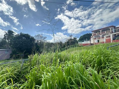 Bo Guzman Abajo Terreno En Rio Grande