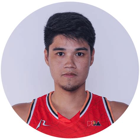 Arvin Dave Tolentino Players Pba The Official Website