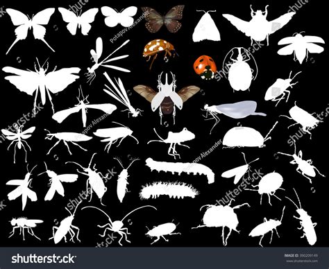 Illustration Insect Silhouettes Isolated On Black Stock Vector Royalty