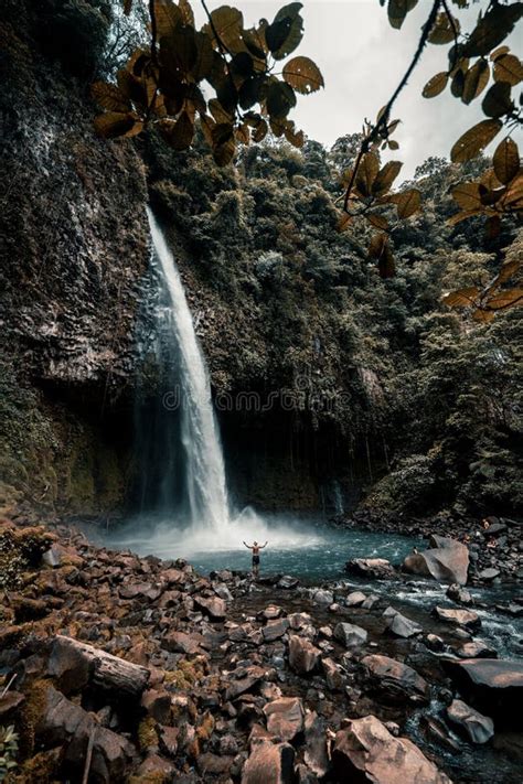 Captura Vertical De Una Hermosa Cascada De Costa Rica Rodeada De Rocas