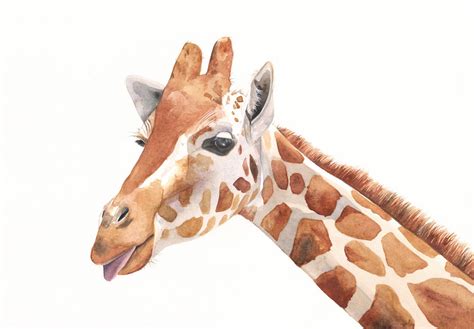 Giraffe Painting G039 Print Of Watercolor Painting By Splodgepodge 15