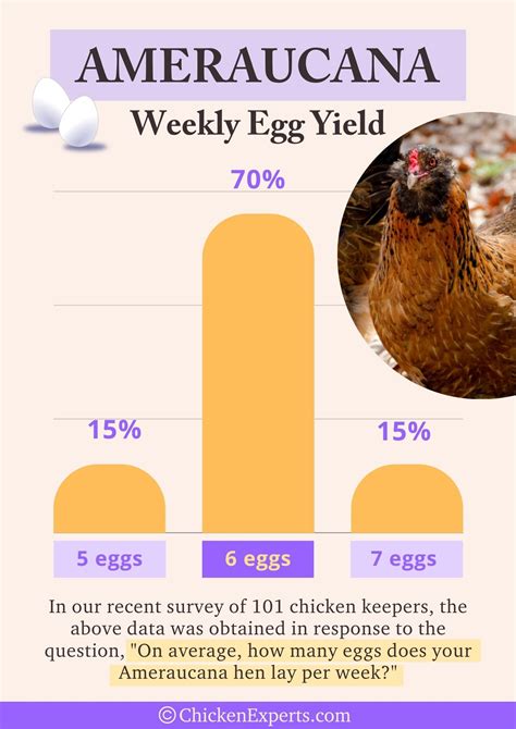 Ameraucana Egg Color Chart