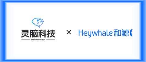 Ai 赋能脑科学，和鲸科技与灵脑科技达成战略合作 知乎