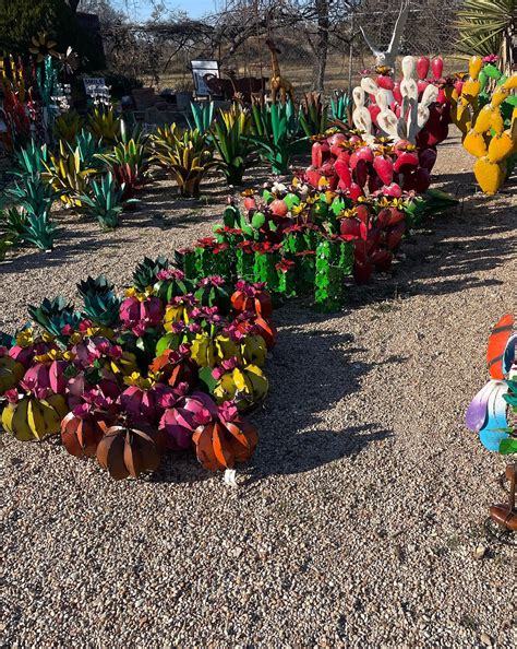 The Parrot Imports - Home