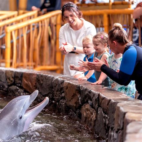 Seaworld Abu Dhabi Earns Guinness World Record As Largest Marine Life