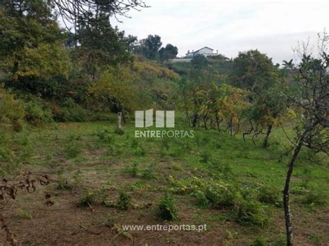 Casas E Apartamentos Em Penha Longa E Pa Os De Gaiolo Porto Idealista