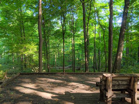 Uw Arboretum Hiking Trails