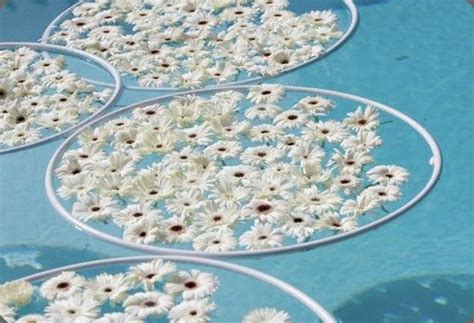 Floating Flowers For Pool Wedding Floating Pool Flowers Backyard