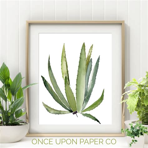 Aloe Cactus Print Tropical Print Succulent Print Cactus Etsy Greenery