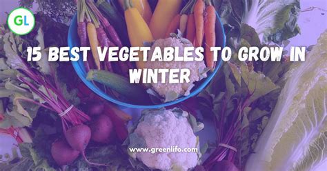 15 Best Winter Vegetables To Grow Growing Crops In Winter Months