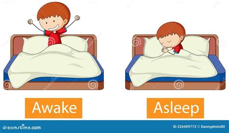 Words Asleep And Awake Flashcard With Cartoon Characters Opposite
