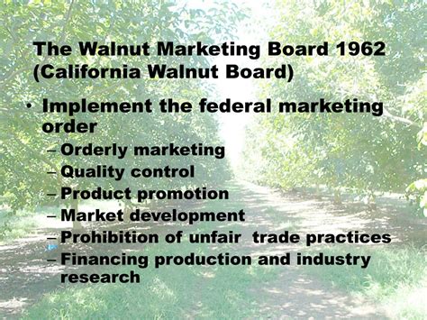 Ppt Walnut History And Production In California Powerpoint