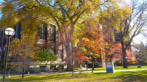 Fall Colors University Of Michigan Ann Arbor YouTube