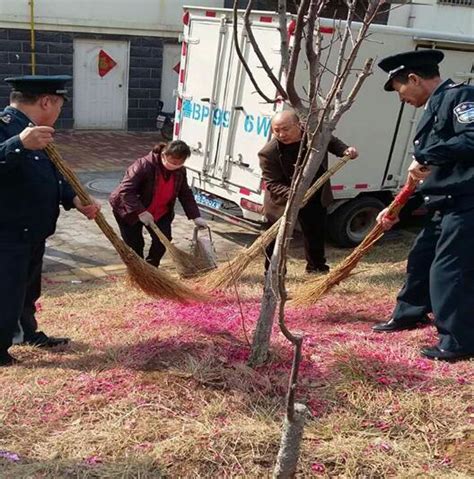 泉州路社区居委会组织辖区物业开展节后环境卫生整治 青报网 青岛日报官网