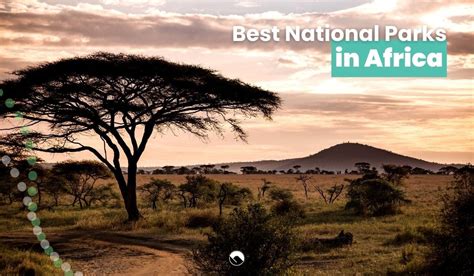 8 Best National Parks in Africa [Nature and Wildlife]