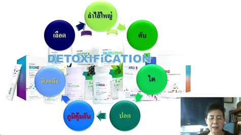 Synergy Detox องค์รวม Youtube