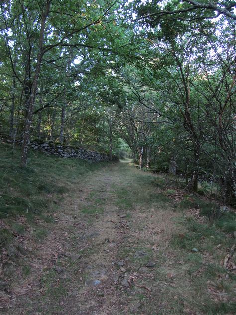 20120906 10 040 Jakobus Wald Weg Bernd Brang Flickr