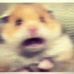 scared meme generator imgflip