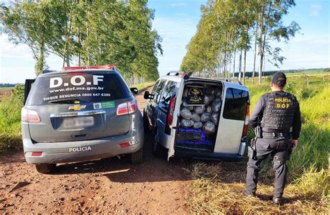 Avaliada em mais de R 2 milhões carga de maconha é apreendida pelo