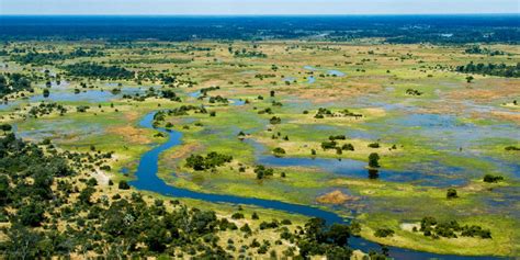 Five Wetlands to Explore With Natural Habitat Adventures