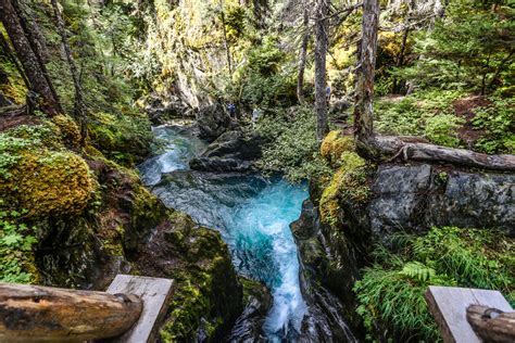 Hiking in Alaska: 15 Scenic Trails For Your Bucket List - Linda On The Run