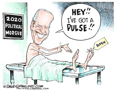 Bidens Back Political Cartoons Daily Bulletin